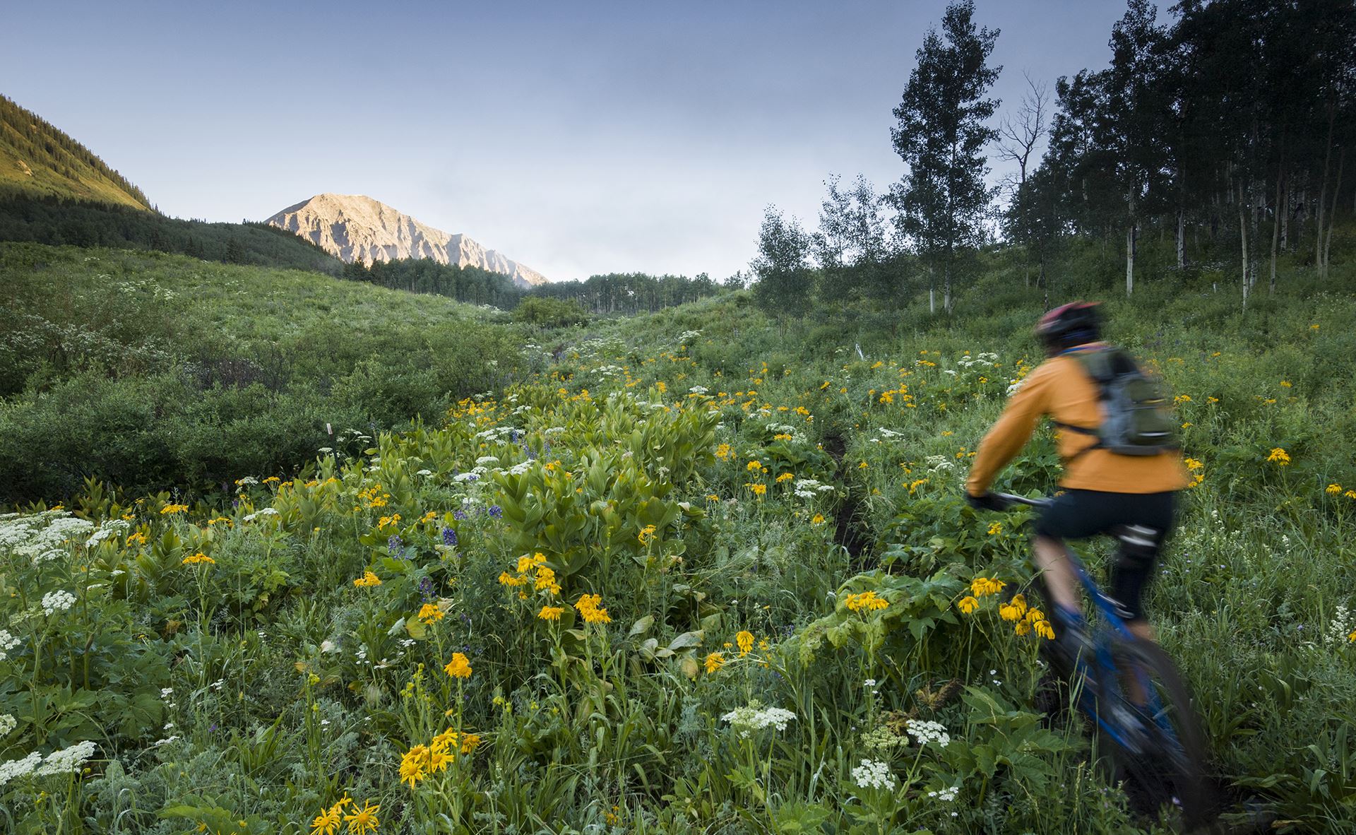 person riding mountain bike through field