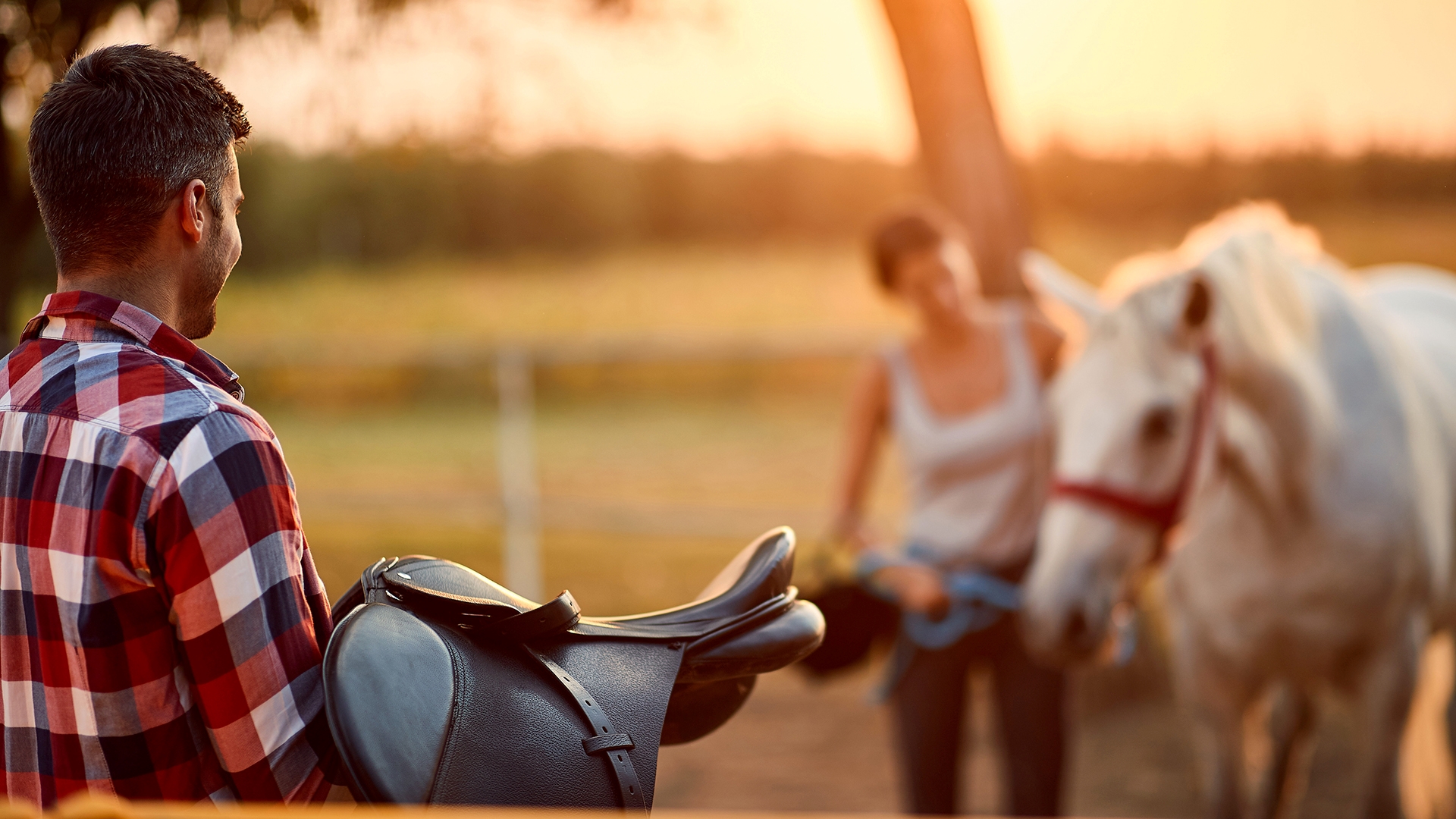 man holding saddle and horse in background